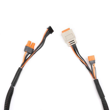 Spektrum SPMX-1010 2-4S IC2 60cm Charge Lead with In-Built Balance Plug